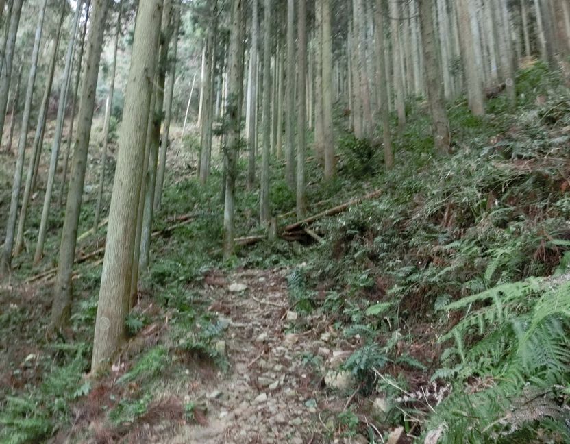 b0185573_11372046.jpg