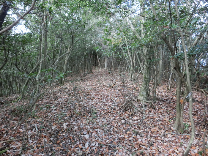 b0185573_16255380.jpg