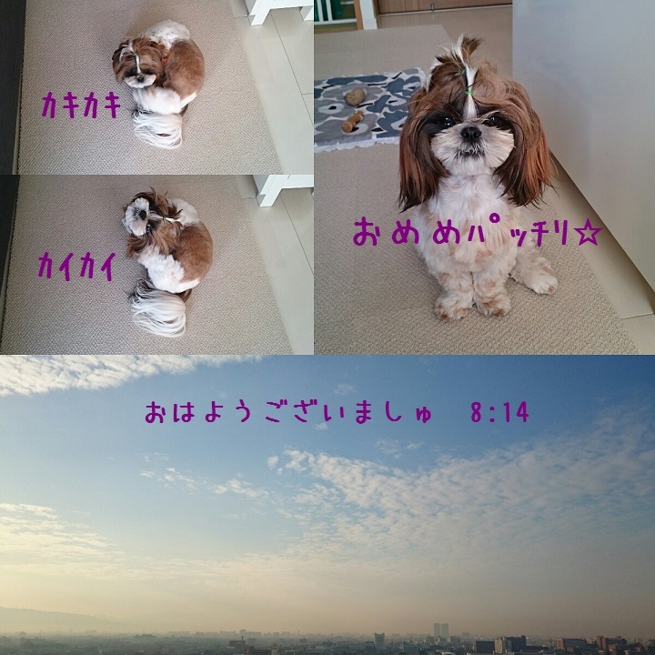 c0363378_14452709.jpg