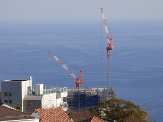 2016年1月28日 にょきにょき_b0098584_20271130.jpg
