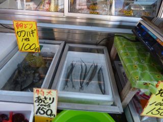 2016年1月28日 にょきにょき_b0098584_20281135.jpg