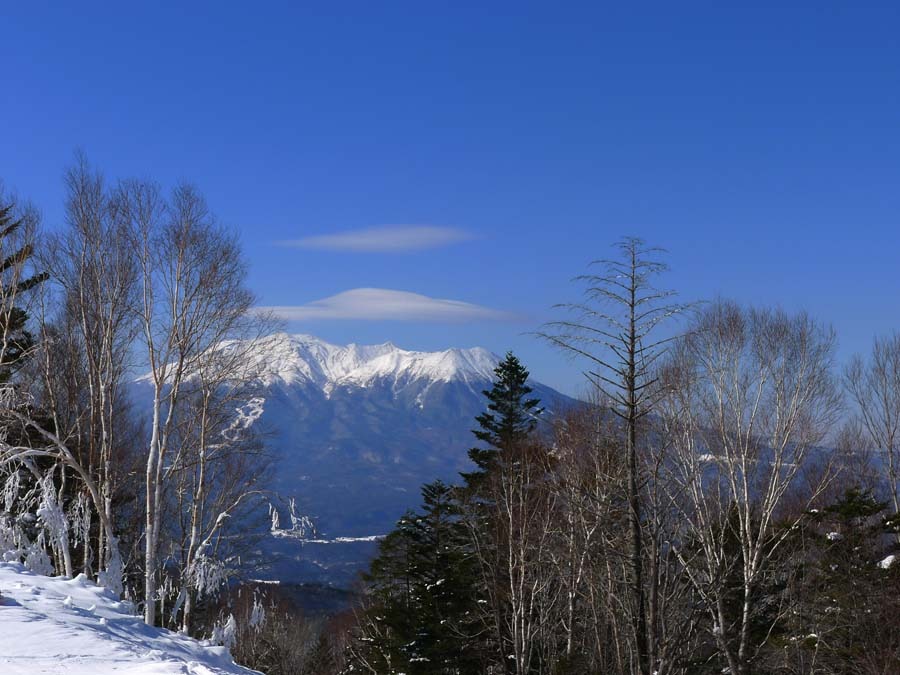 a0130586_202247.jpg