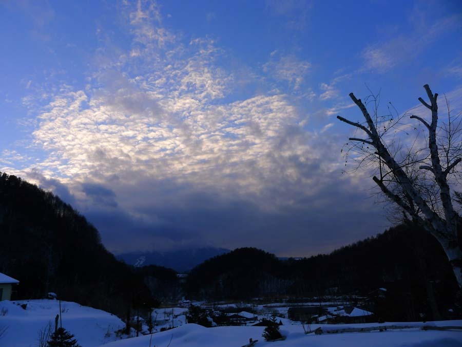 a0130586_2054471.jpg