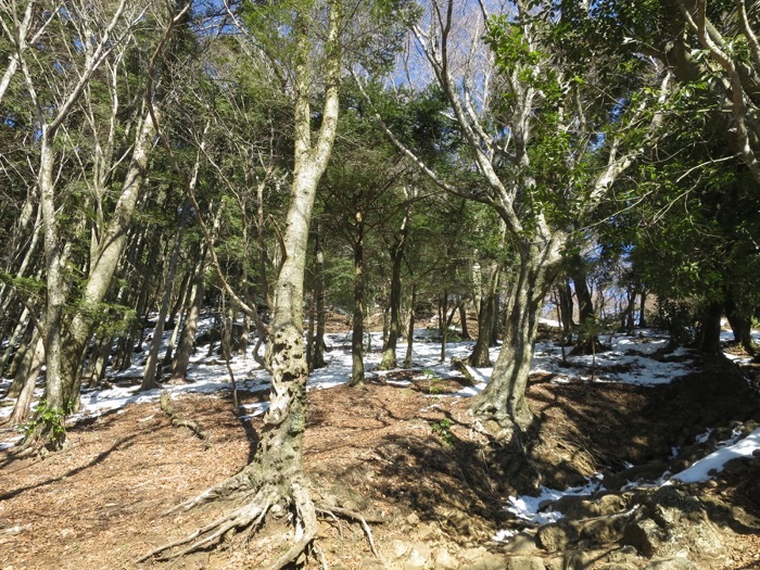 b0339488_22052010.jpg