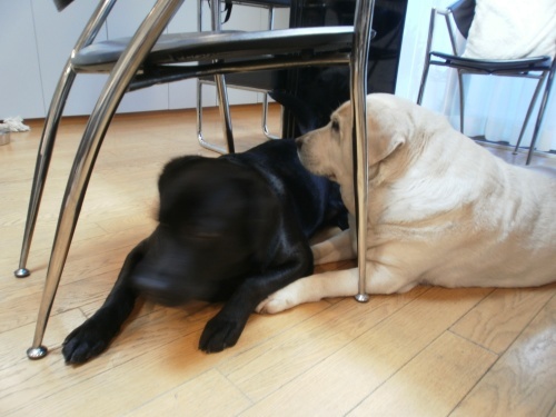 介護_f0347891_22533383.jpeg