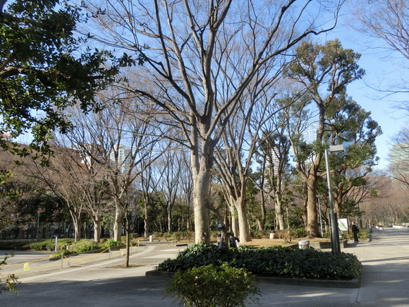 a0319693_9341543.jpg