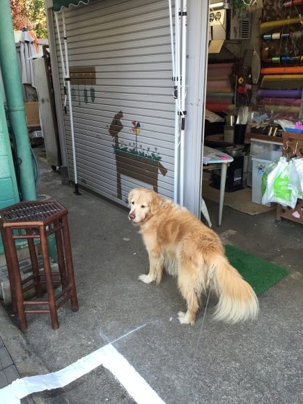 b0275998_10021469.jpeg