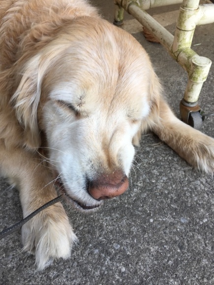 b0275998_10094270.jpeg