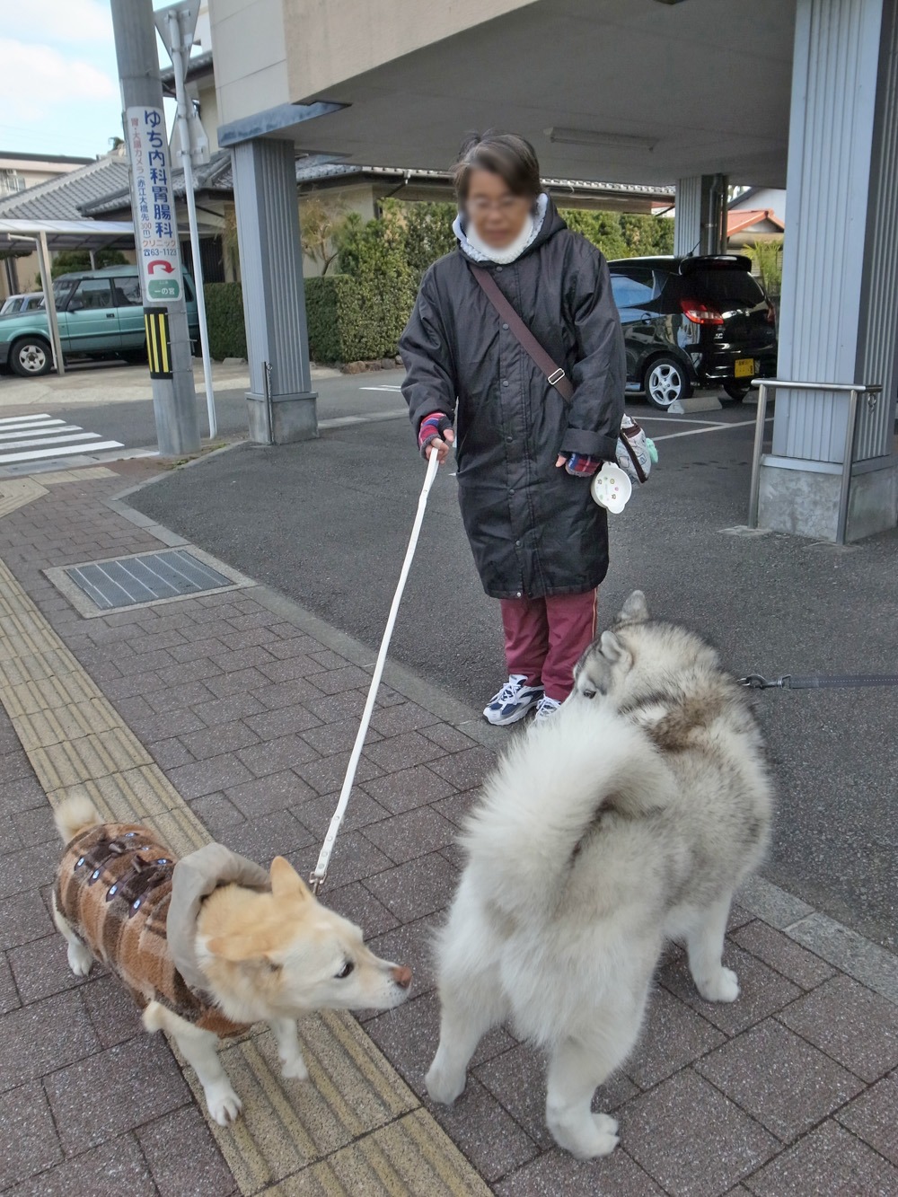 お天気下り坂で気温上昇中　(^_^;)_c0049299_22365693.jpg