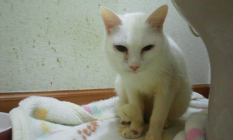 f0242002_054328.jpg