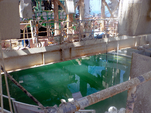 a0044103_7512252.jpg
