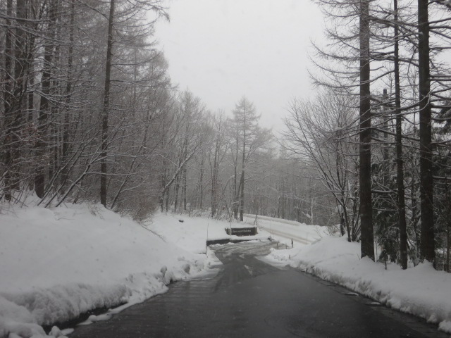 d0351213_19183269.jpg