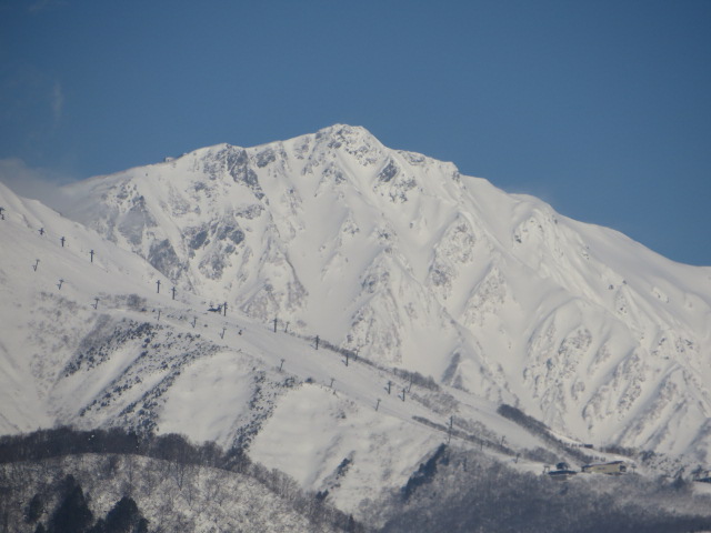 d0351213_621259.jpg