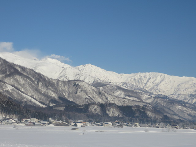 d0351213_621849.jpg