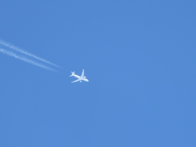 d0351213_6221959.jpg