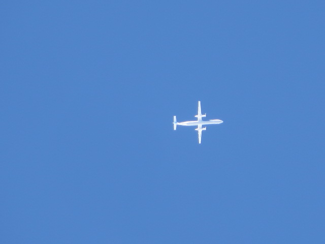 d0351213_6225163.jpg