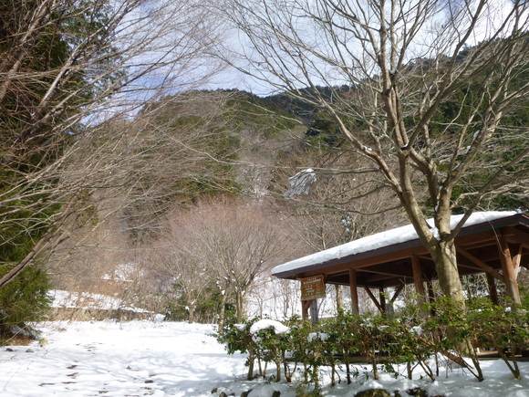 雪の高賀山 (1,224.2M) 　登頂する_d0170615_20131769.jpg