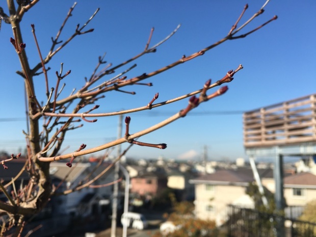 e0172219_00302537.jpeg