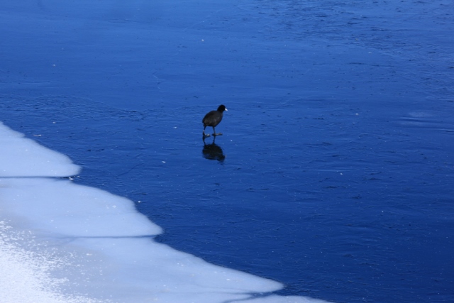 e0242721_855502.jpg