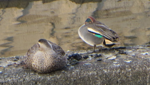 c0280322_14071649.jpg