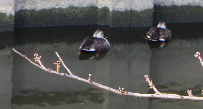 c0280322_14092905.jpg