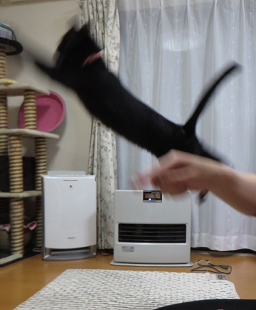 c0280322_23211247.jpg