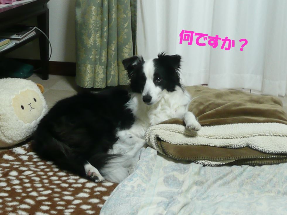 c0147241_17441651.jpg