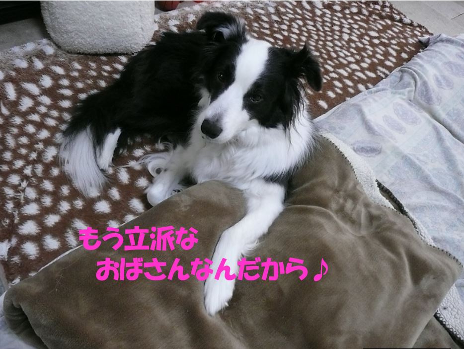 c0147241_17443663.jpg