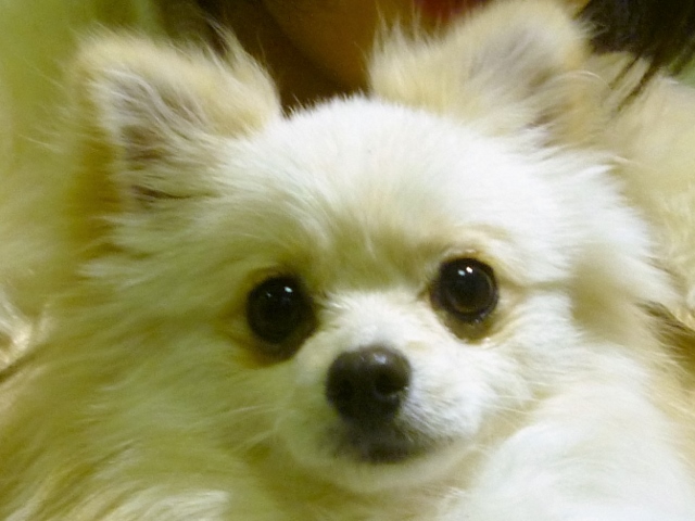 c0174644_1243655.jpg