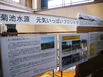 菊池水源産『えごま油』 2月中旬より出荷します!安心のため成分表をお見せいたします!!_a0254656_18121467.jpg