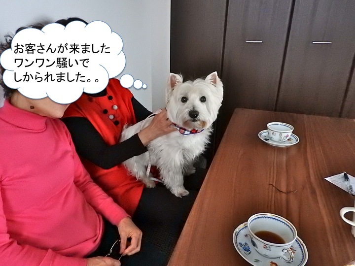 その理由_c0260460_16035260.jpg