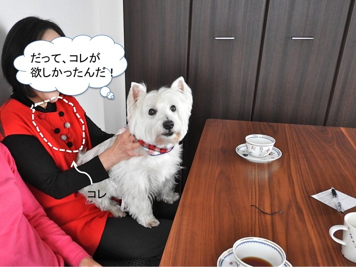 その理由_c0260460_16041746.jpg