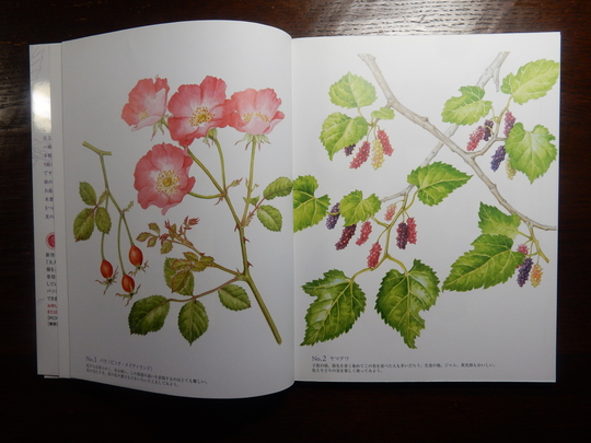 ’16,1,29(金)大人の塗り絵と一茶庵!_f0060461_7261243.jpg