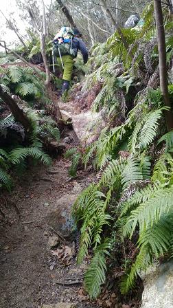 c0260463_12402254.jpg