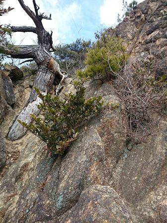 c0260463_13141958.jpg