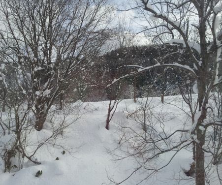 c0023165_2104111.jpg
