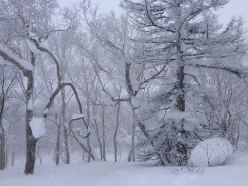 北海道2日目⭐️札幌国際スキー場_c0151965_11312081.jpg