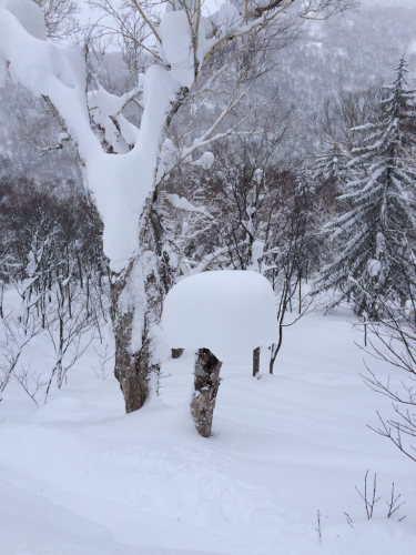 北海道3日目⭐️札幌国際スキー場_c0151965_13280759.jpg