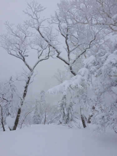 北海道4日目⭐️キロロ_c0151965_13410633.jpg