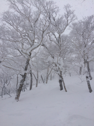 北海道4日目⭐️キロロ_c0151965_13410676.jpg