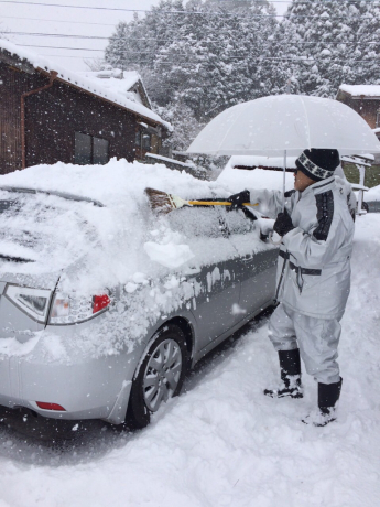 数十年ぶりの大雪_a0077071_15542956.jpg