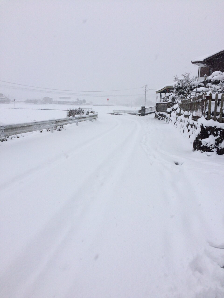 数十年ぶりの大雪_a0077071_15543090.jpg