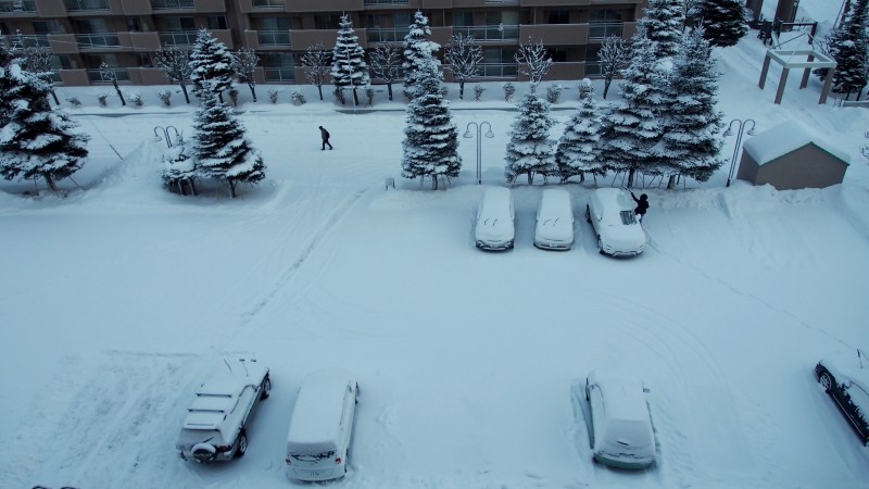 第67回札幌雪まつり　大通り公園(2/5金～２・１１木・祝)雪像作り進む　　　０１２７　_c0183777_17372674.jpg