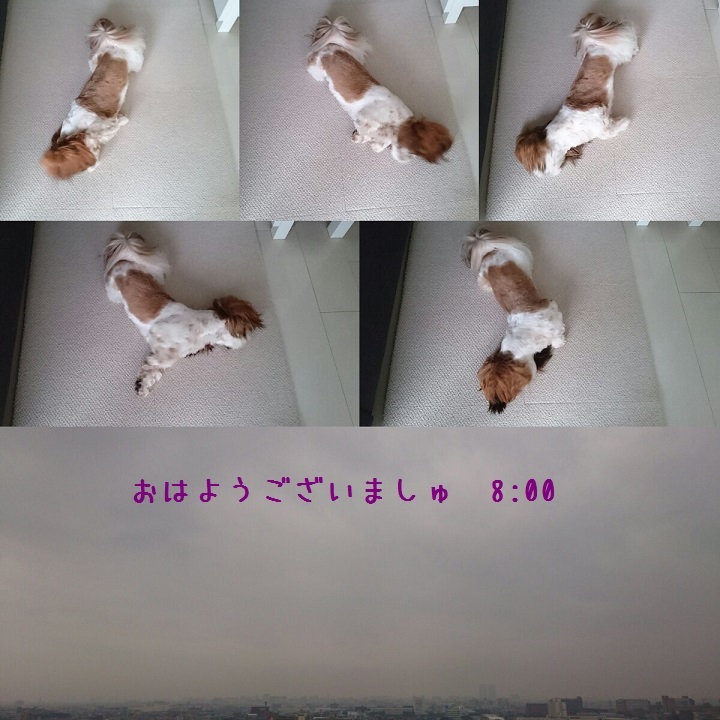 c0363378_13034125.jpg