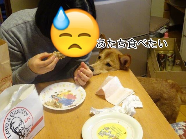 a0322483_10305202.jpeg