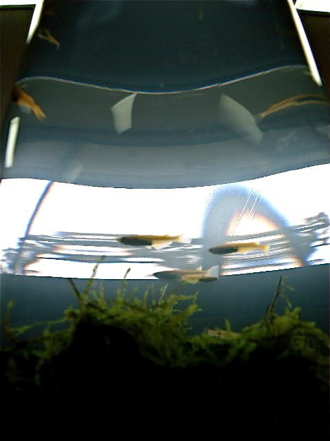 a0199297_14515954.jpg