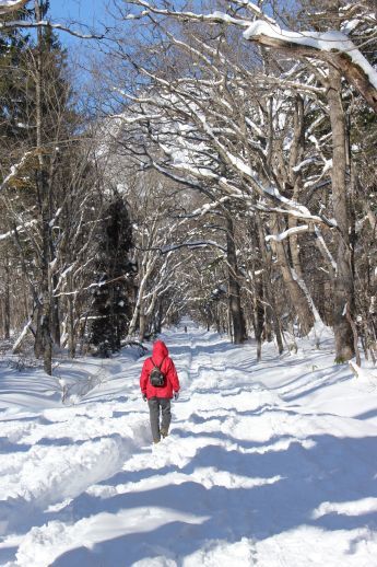 20160127 【登山】戸隠奥社へ行って来た_b0013099_11261239.jpg