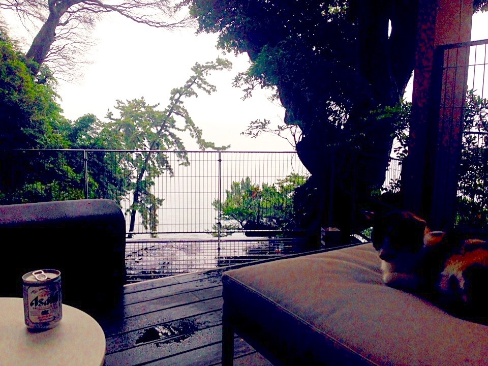 a0298406_23122065.jpeg
