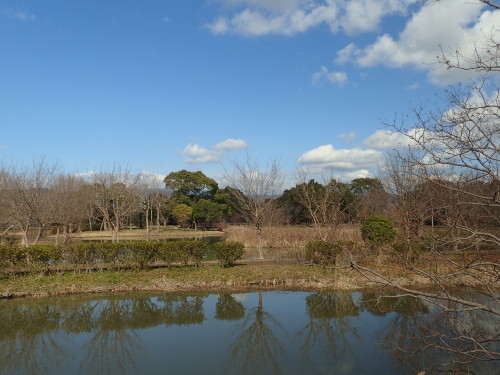 a0315918_17404577.jpg