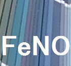 FeNOレベルの高い咳嗽にはステロイドが効く？_e0156318_814353.jpg